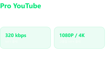 Pro 기능